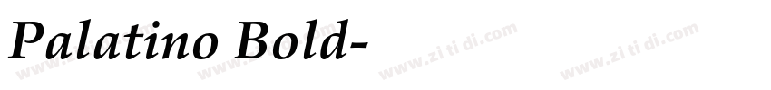 Palatino Bold字体转换